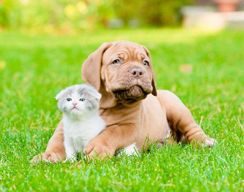 new clients welcome Woodstock, GA
